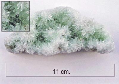 Gypsum, selenite var. South Australia. Bill Bagley Rocks and Minerals
